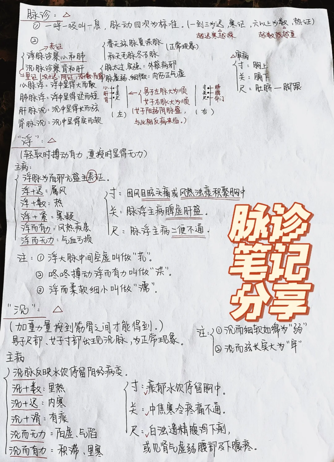 中医脉诊笔记分享