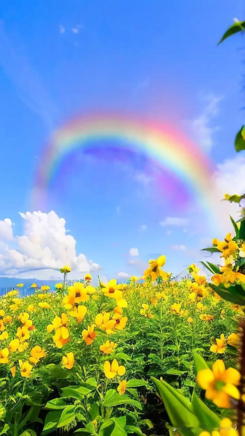 本帐号暂时停更：

粉丝朋友们

世界很大，幸好有你们的关注，让我的分享有了回响