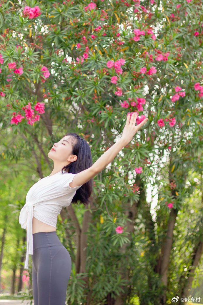 公园里的瑜伽瑜伽 ​​​