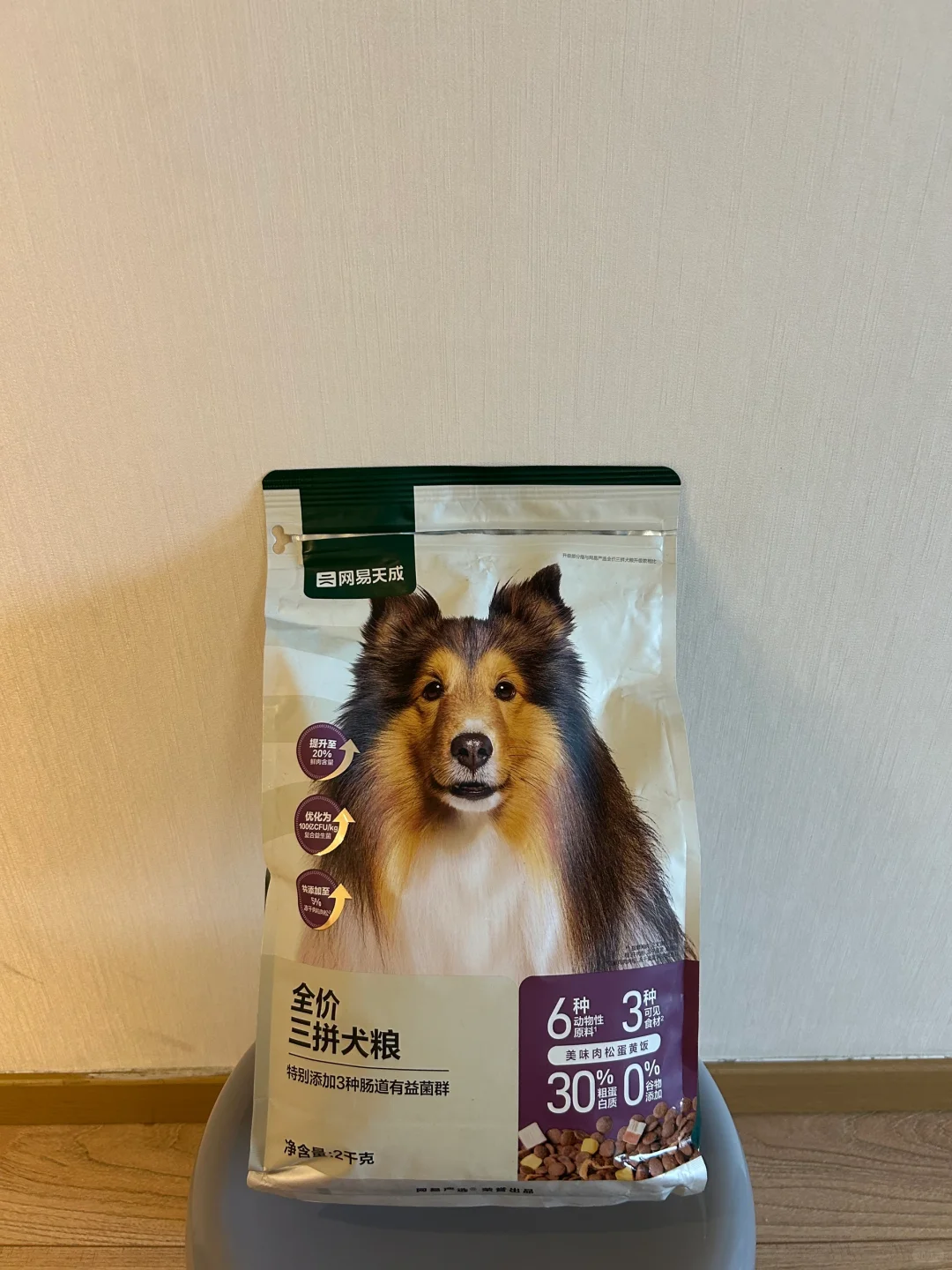 家里的狗吃的太多了怎么办...