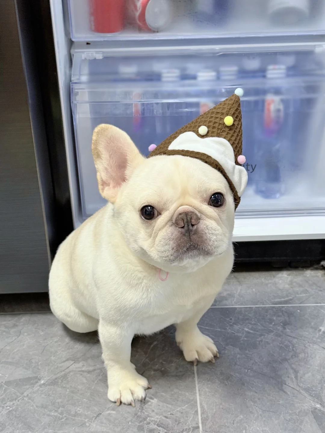 吧唧～谁的华夫格冰淇淋掉地上了🍦