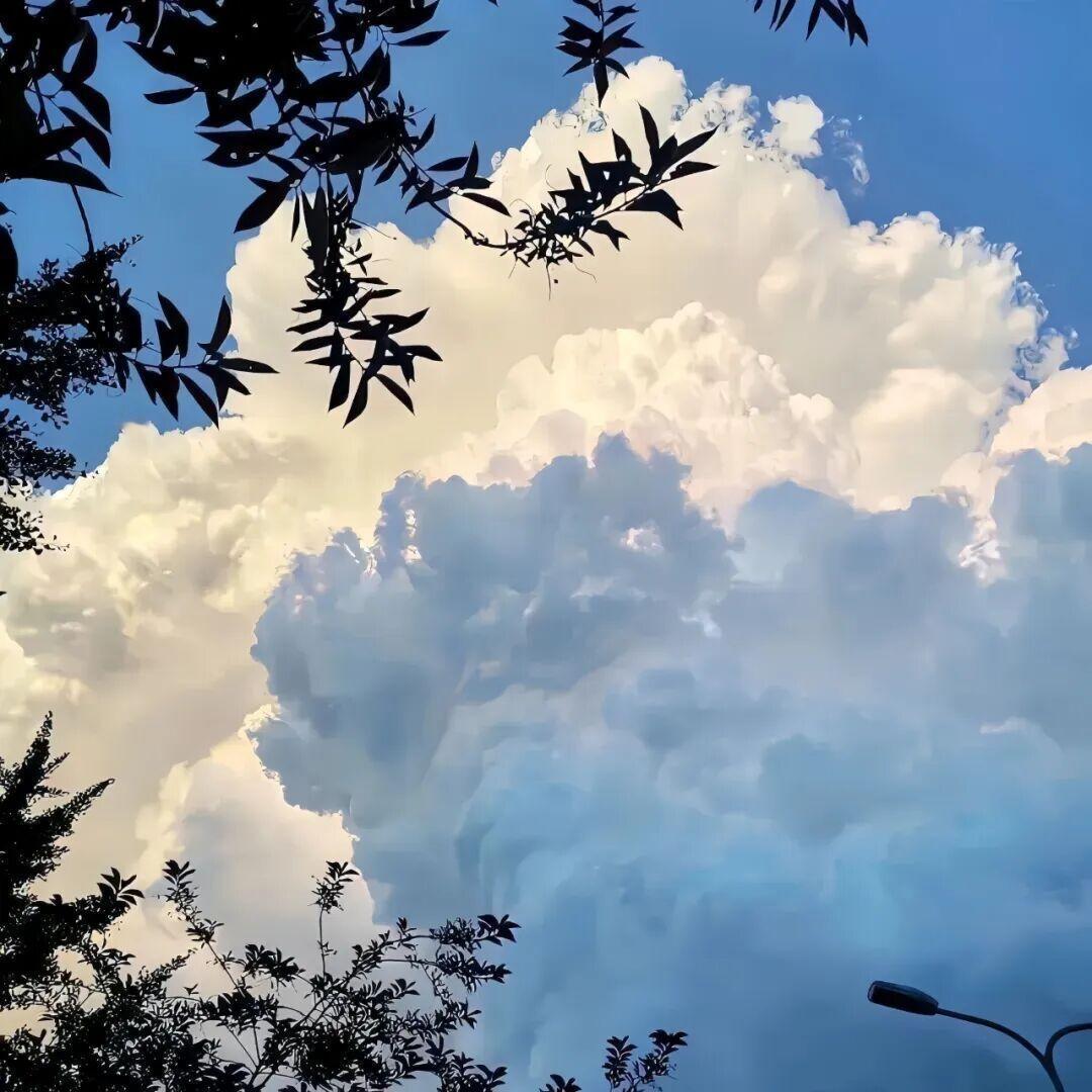 我能给你别人给不了的温柔，也能做到别人做不到的绝情。 