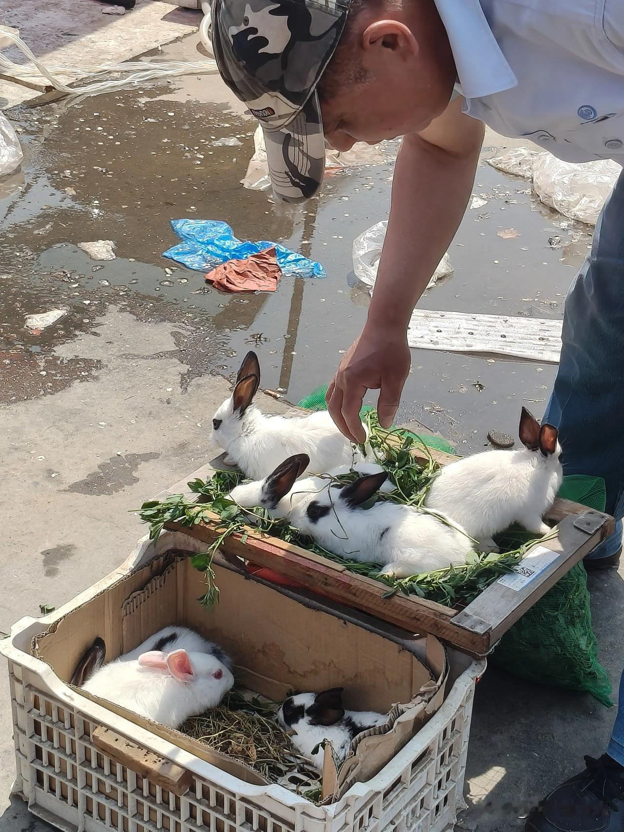 促进友好往来