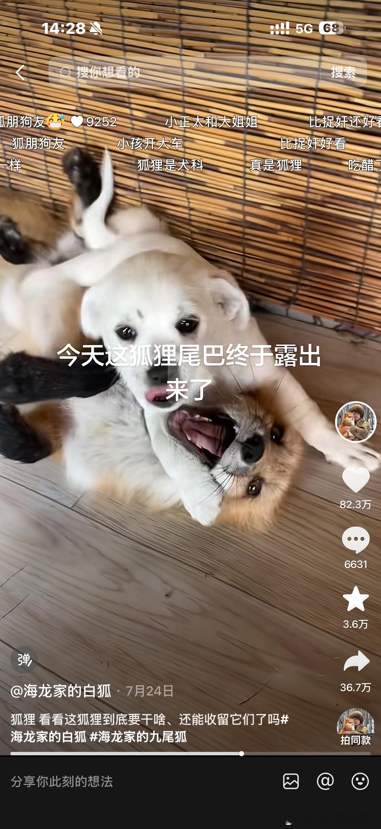 看了一集玉骏 
