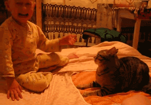 猫猫：我不能惯着他 