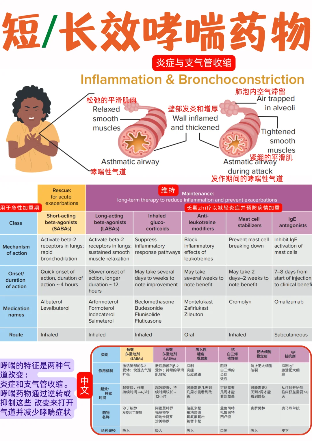 备考RN/长效和短效哮喘药物！！学！！单词
