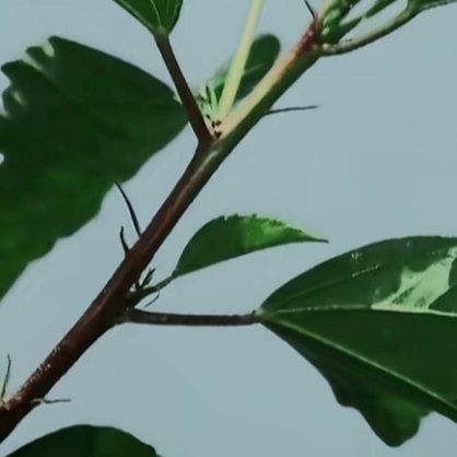 每日一善每日一善 生活就像一场旅行，不在乎目的地，在乎的是沿途的风景和看风景的心