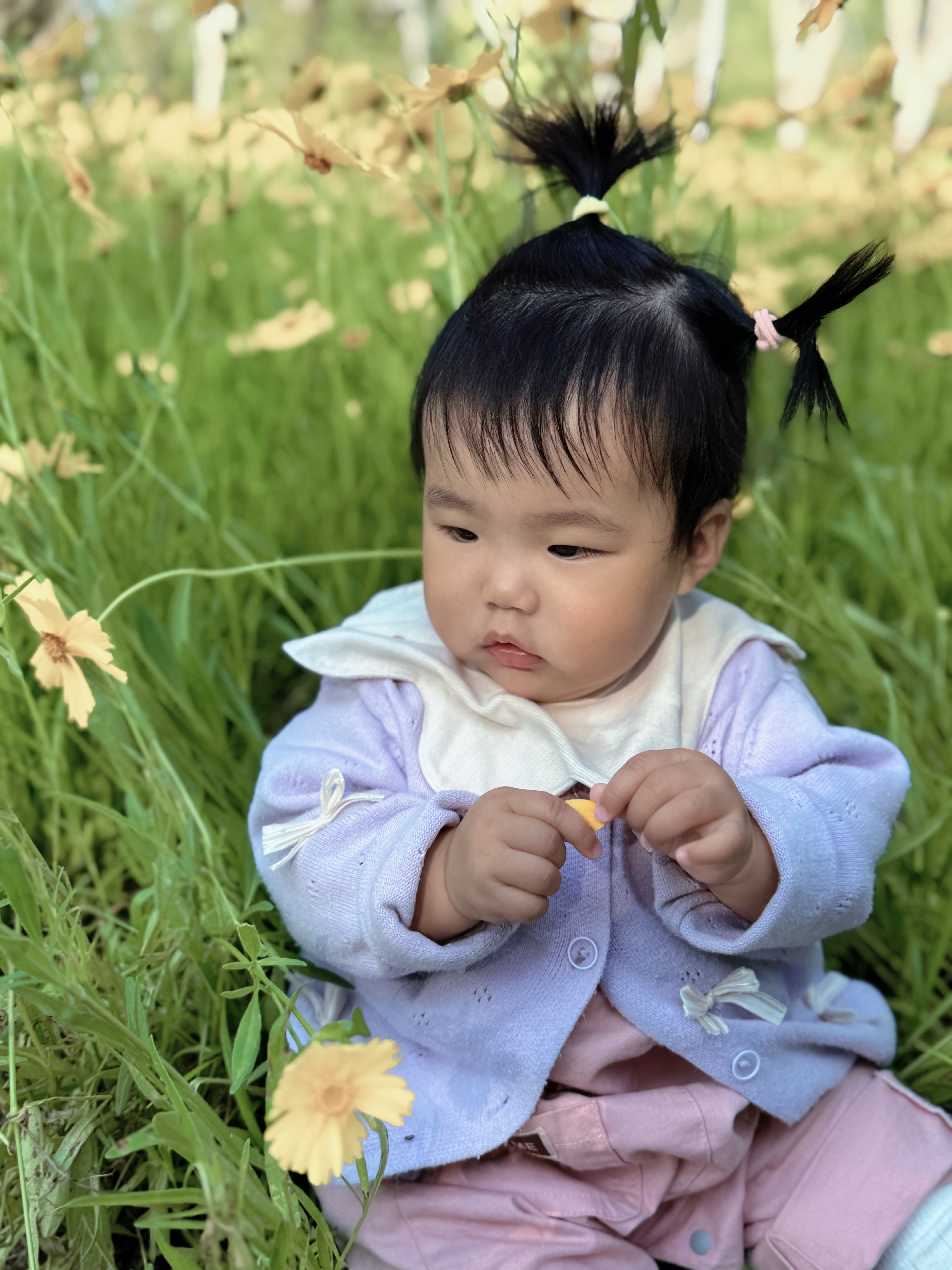 没头脑和不高兴 