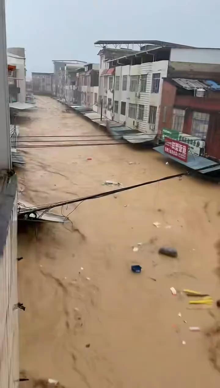 与天敌敌。