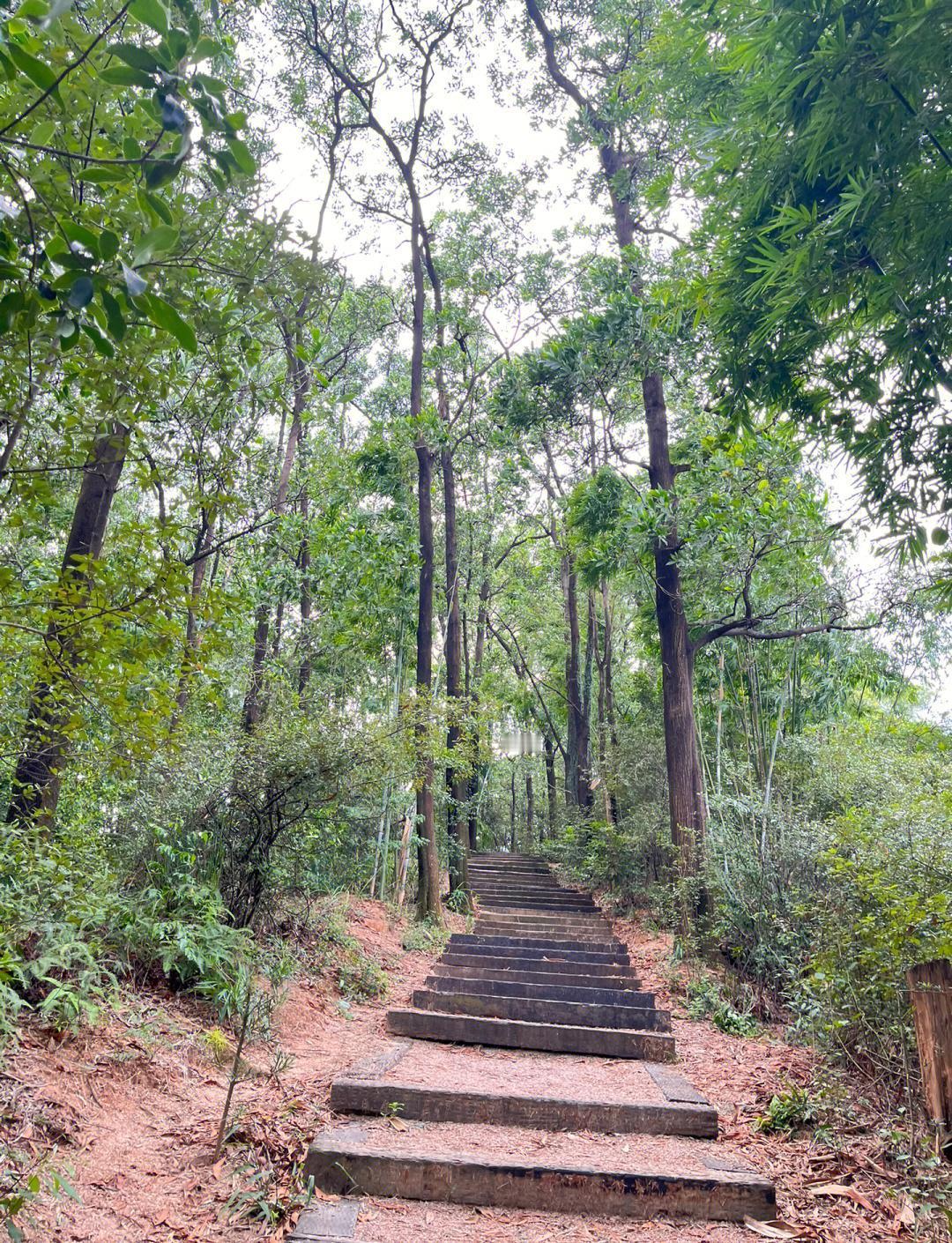 广州人周末最爱往哪钻？不是挤爆的商场，也不是人从众的网红景点，而是这4条地铁直达