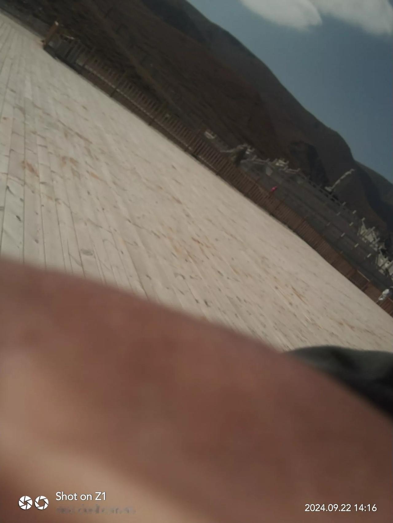 #公园美丽景随拍#