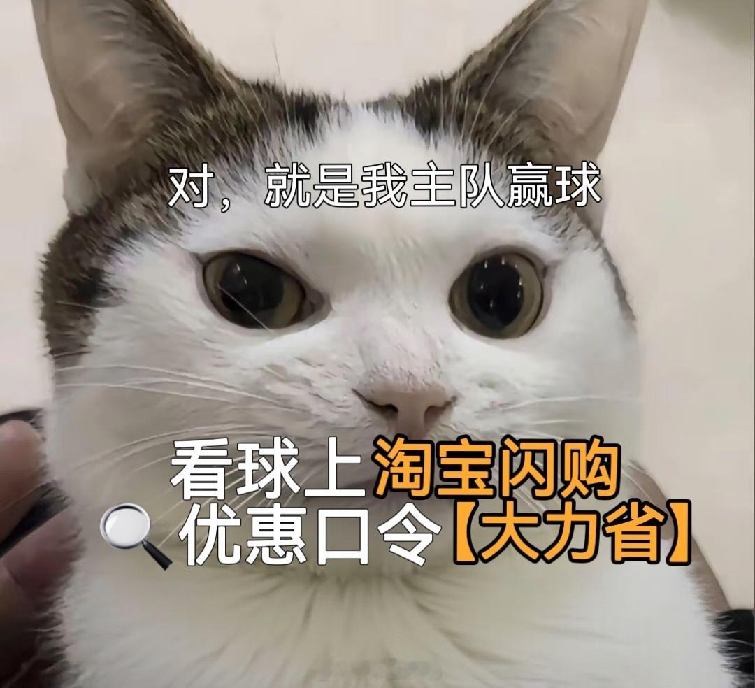 当我意识到西瓜也是瓜谁懂夏日看球快乐！西瓜小龙虾缺一不可，喊上兄弟组队拼单。上淘
