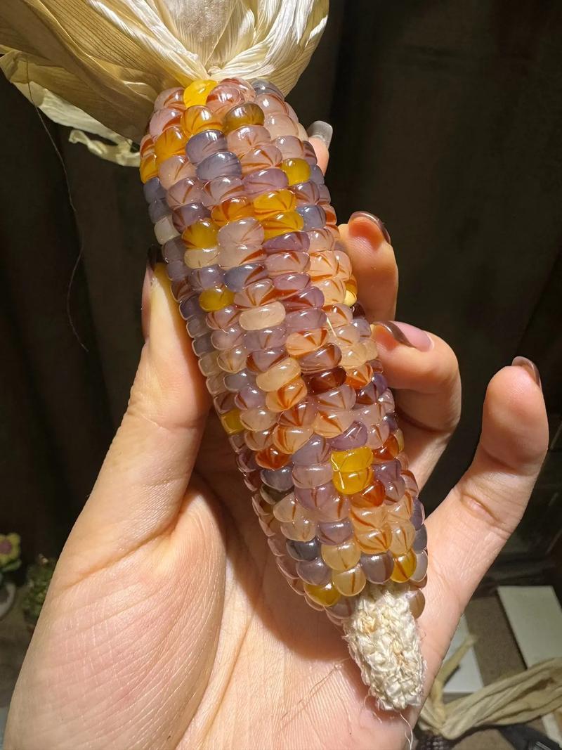 “玉米”走红然而受益者却不是农民伯伯
 谁能想到玉米能当文玩？
又能玩又能当小装