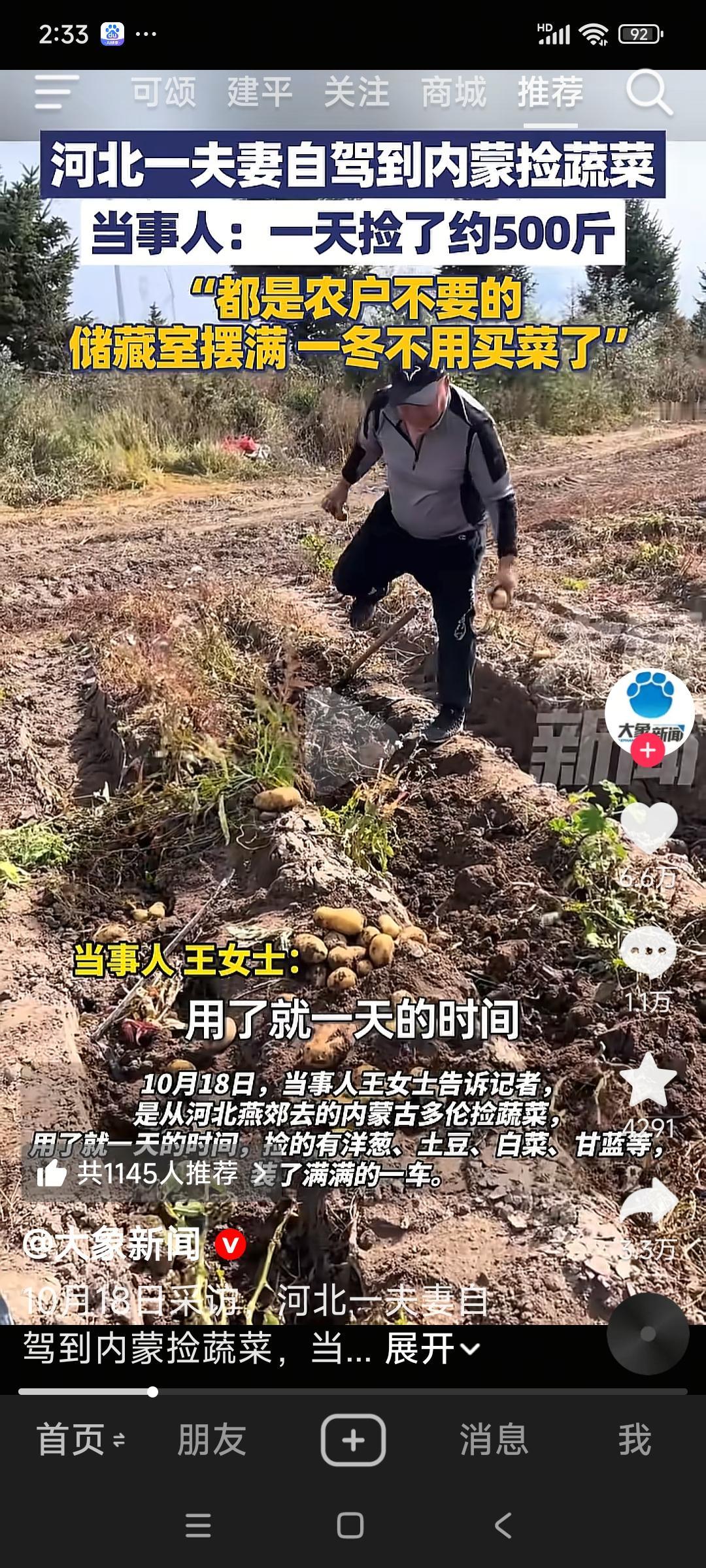 山上的菜真的很多很多。
河北燕郊的王女士，
开车去内蒙古多伦捡蔬菜，
一天捡了各