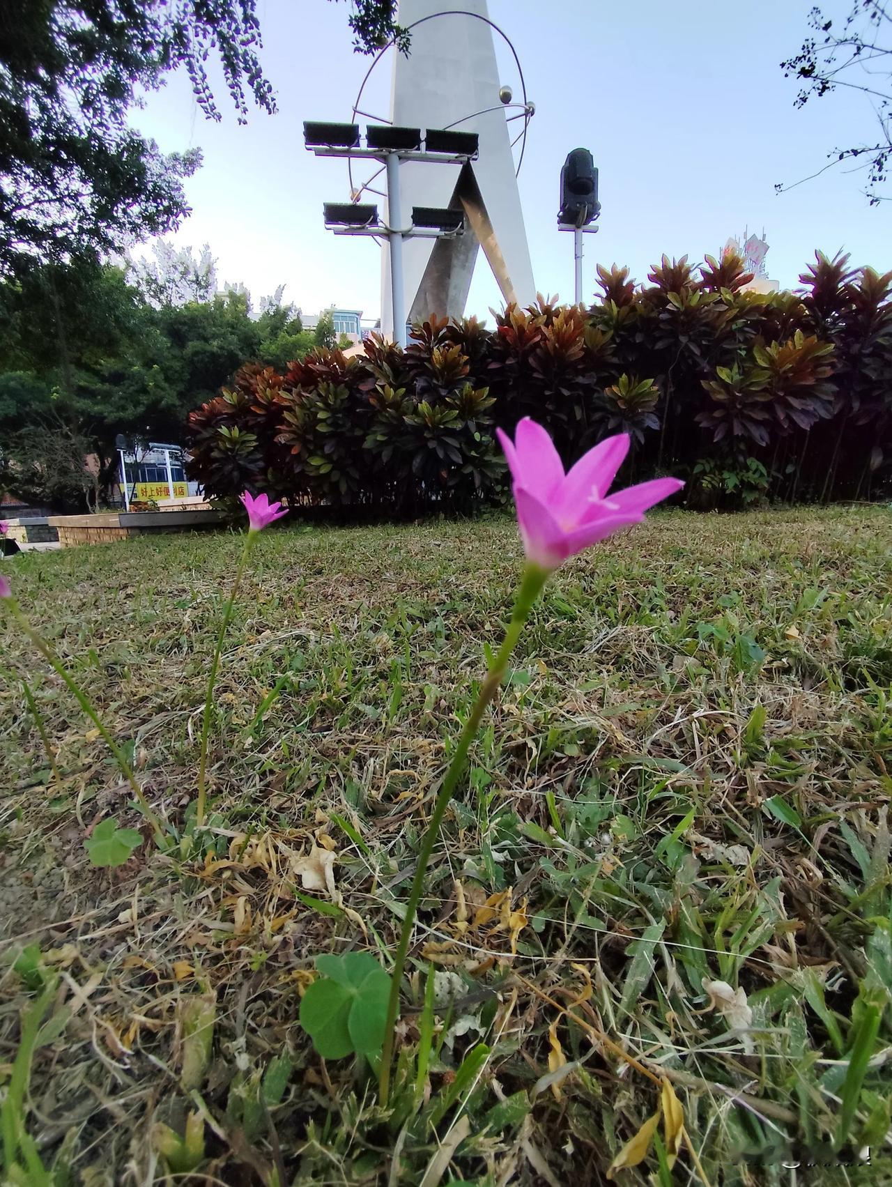 论：事实证明一个男人的背后一个女人的重要性，好的女人成就一个优秀的男人，不好的女