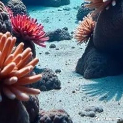 世界最大人造海水水族馆之一“穿越大陆的水世界”上海海洋水族馆 