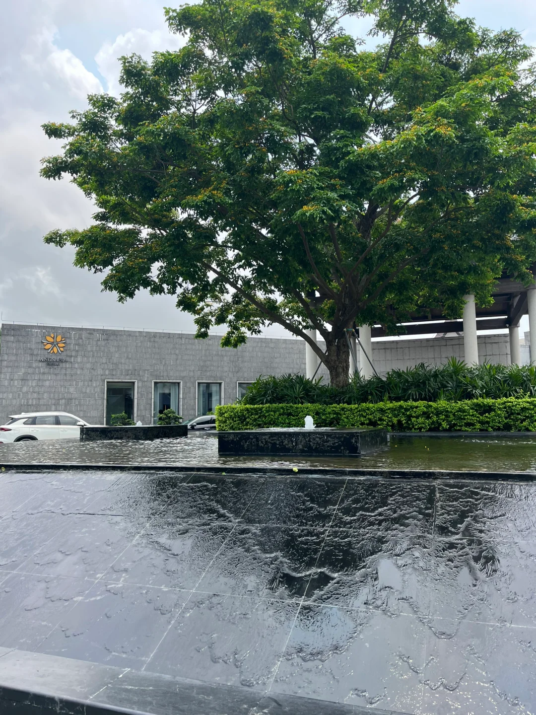 在珠海｜还是比较喜欢雨季