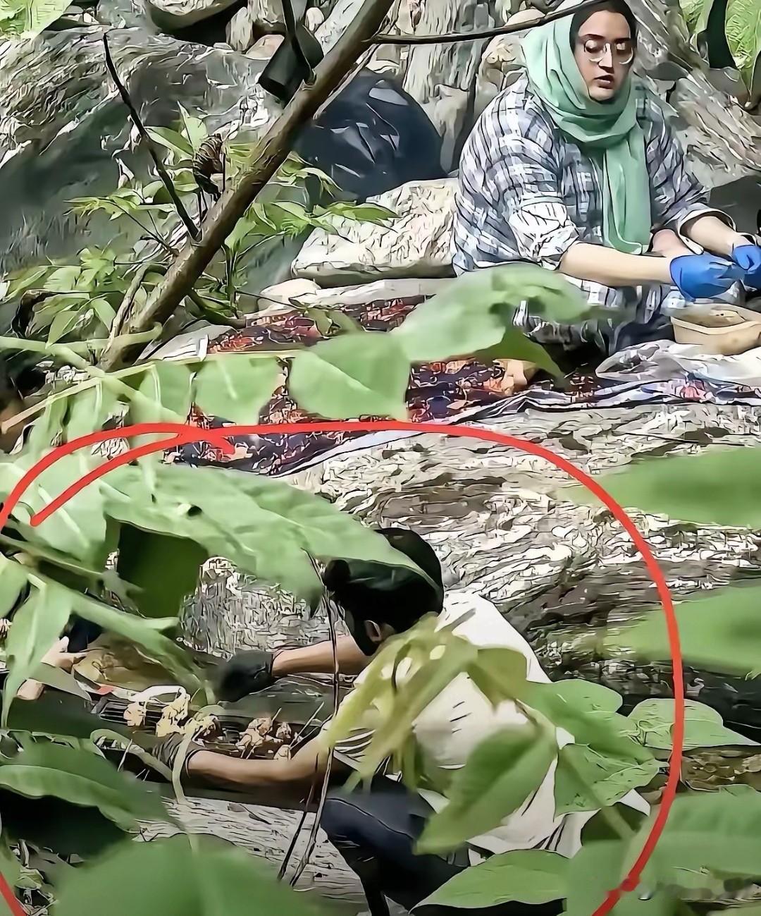 外籍游客秦岭钻盲区烧烤，守山的心血不该被糟蹋
 
印度籍游客在西安金龙峡秦岭核心