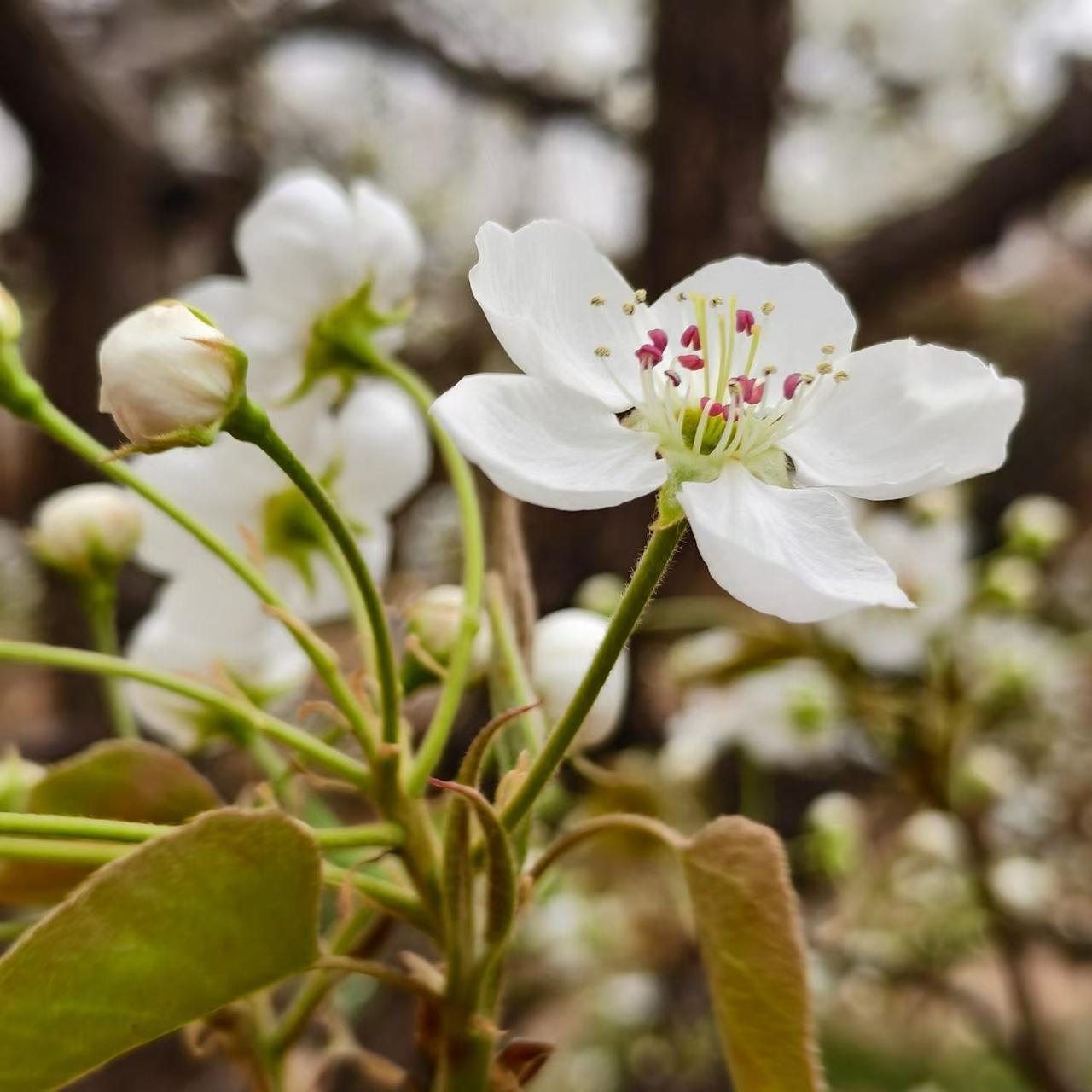 路边的花全开了，树也绿得发亮，空气里都是春天的味道。不用赶时间，不用想工作，就慢