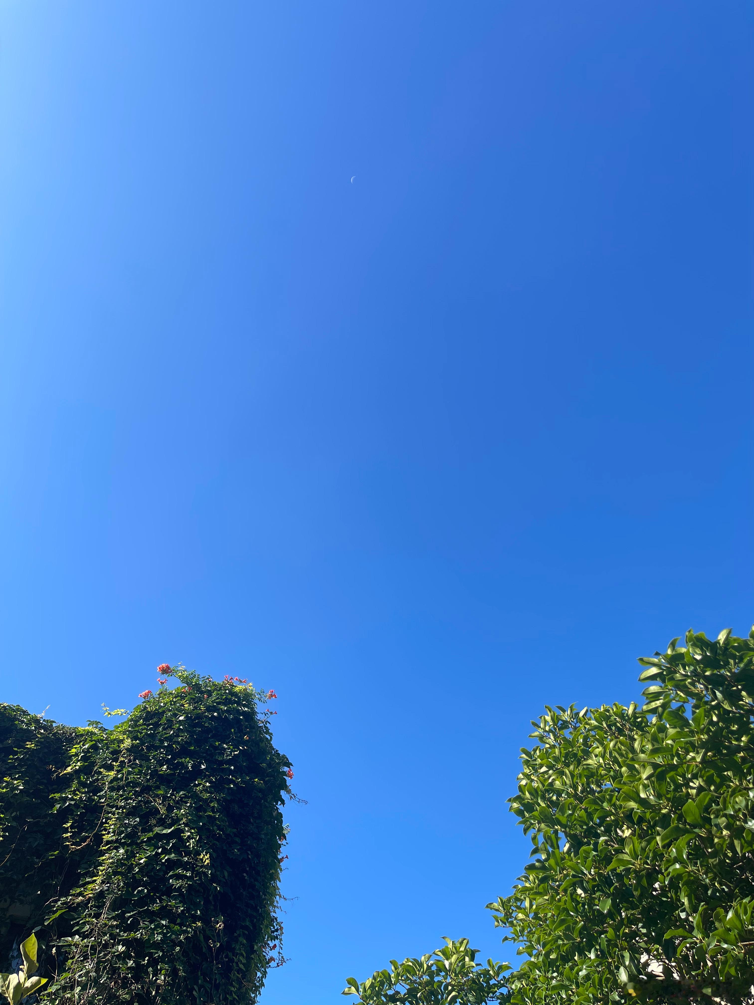台风到来前的天空总是过分的蓝、过分的宁静纯手机拍没有修饰蓝色能让人心定下来确实如