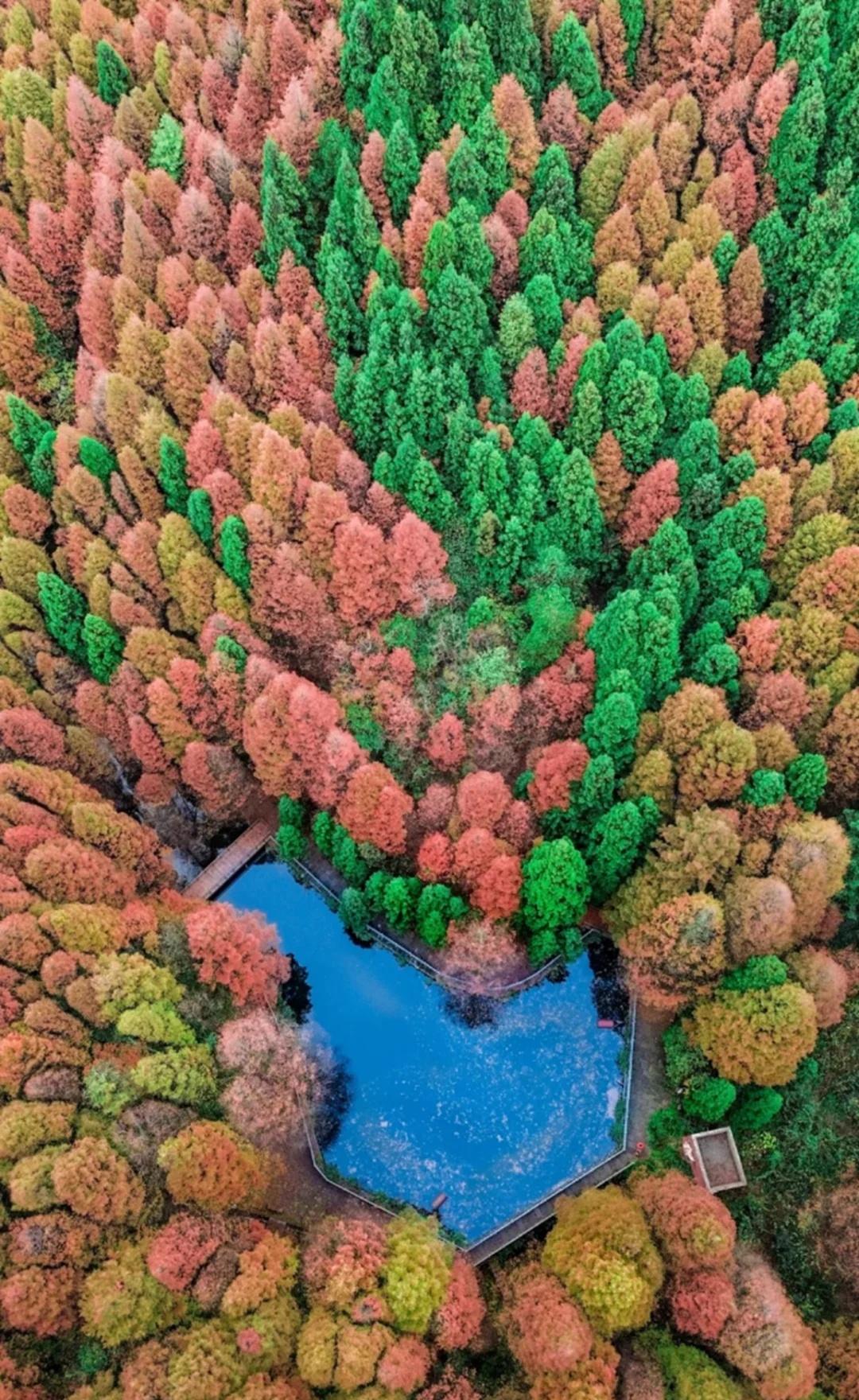 重庆秋日的所有美好，你想和谁一起去看？
山王坪国家生态公园归山屿山王坪初秋去哪里
