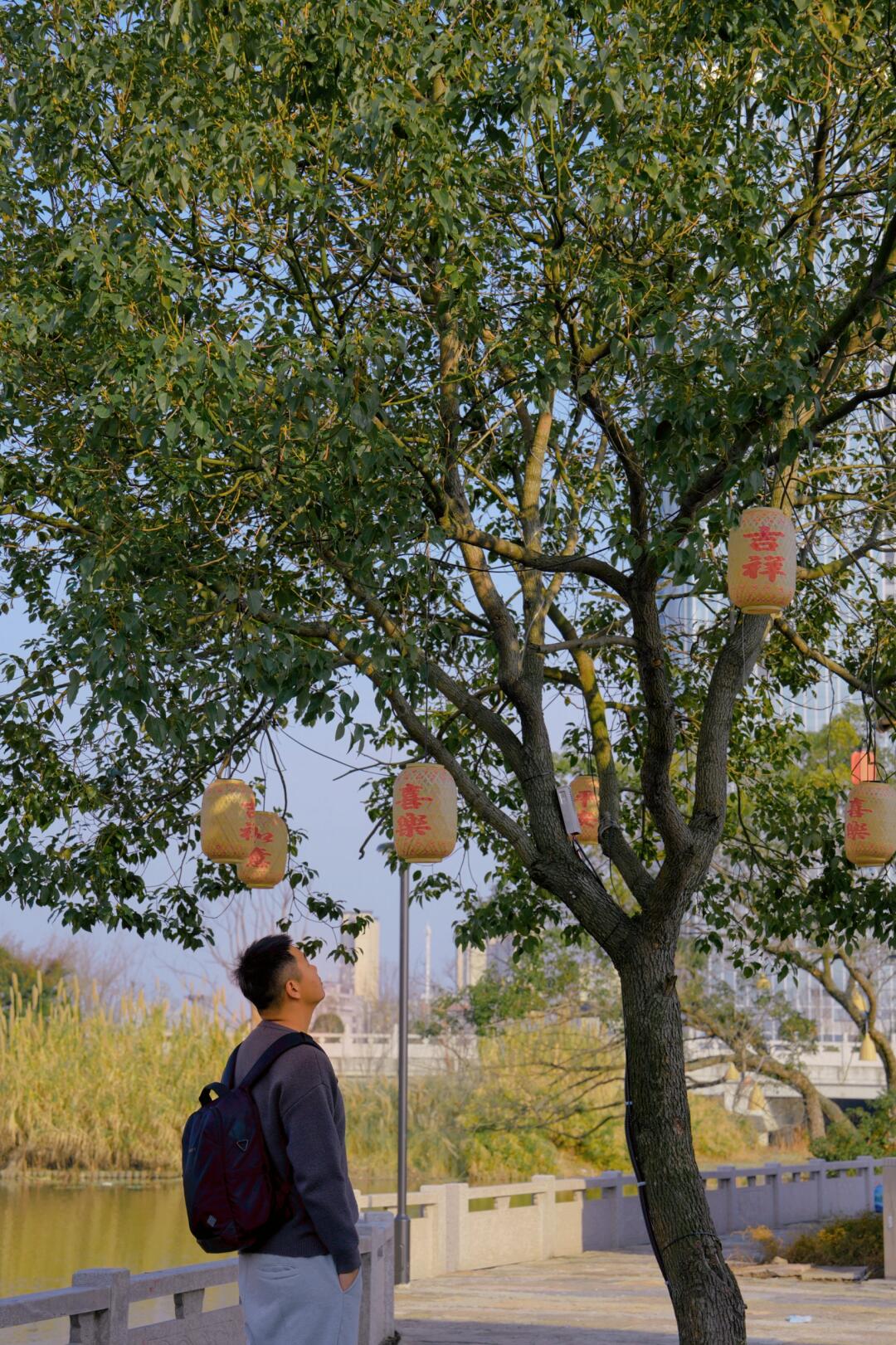 🐲乐清过年出去玩，哪里不堵车？看这里！