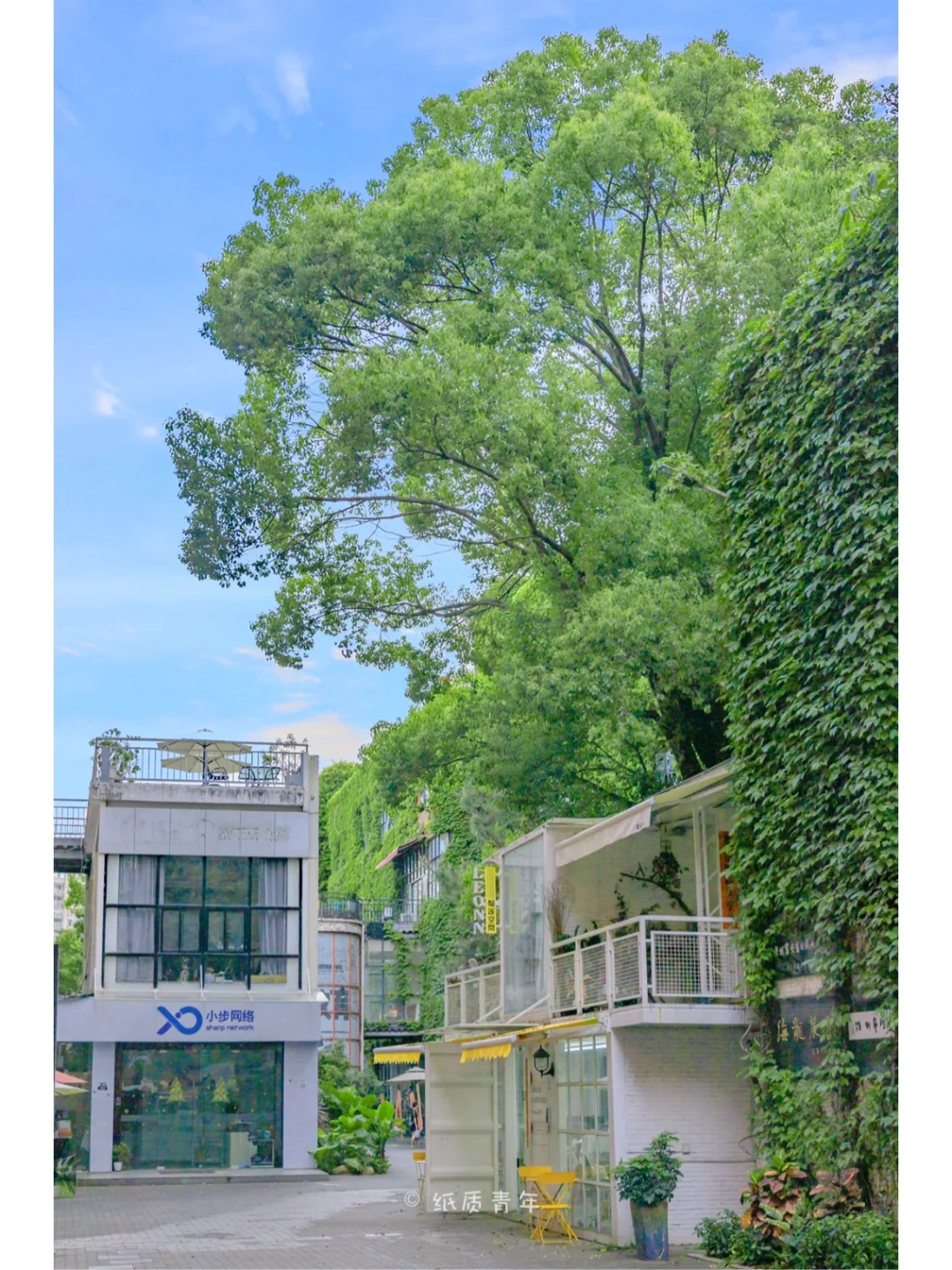 深圳F518时尚创意园|城市版的绿野仙踪