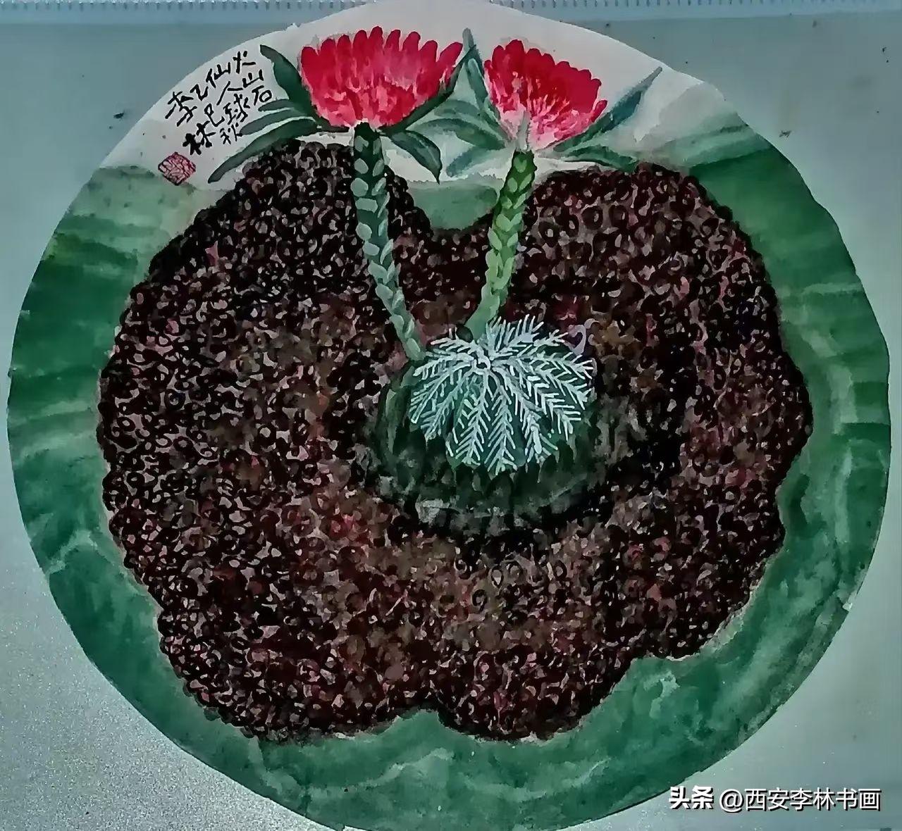 《西安李林绘画：火山石上仙人掌》