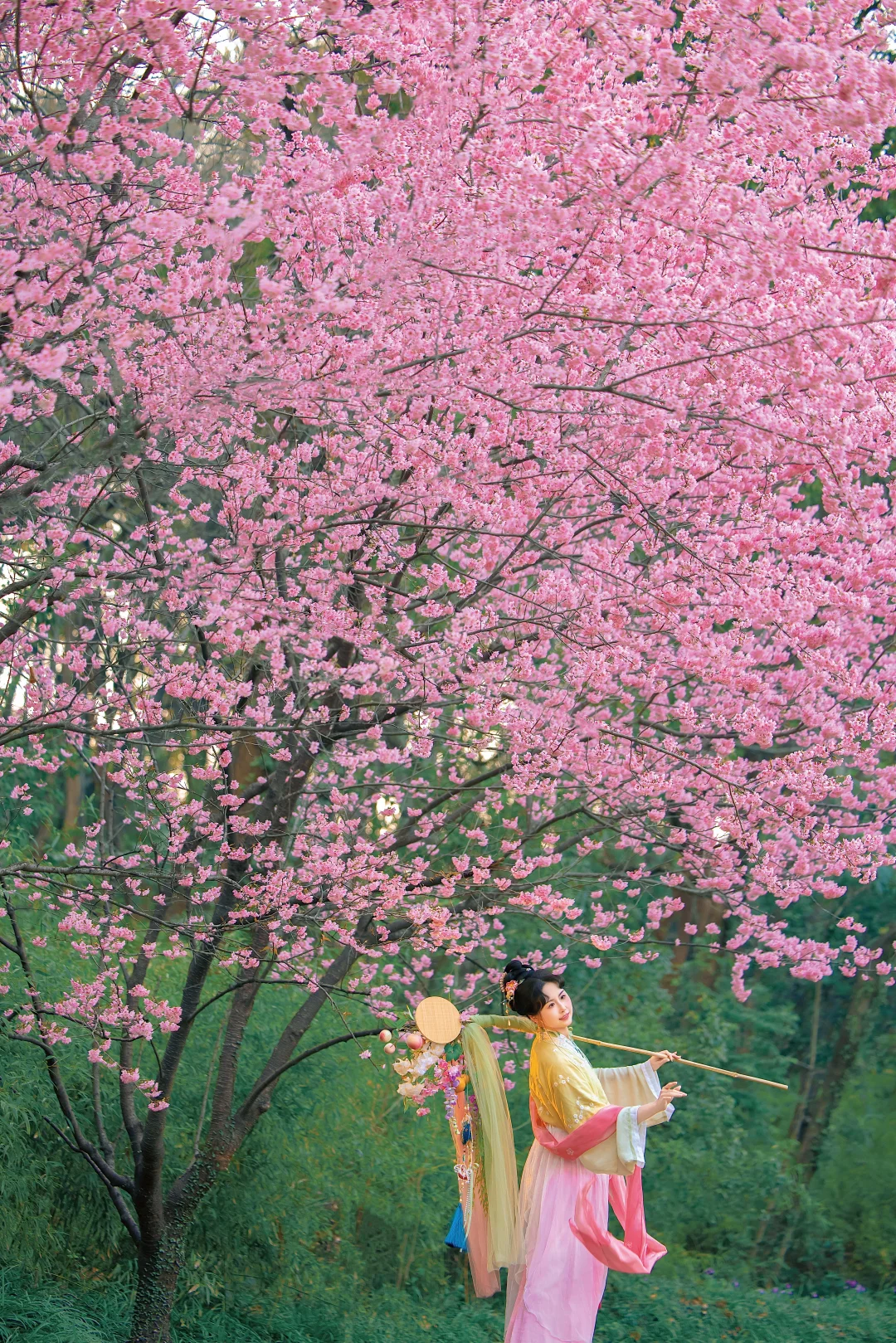 “一枝春绽放”🌸