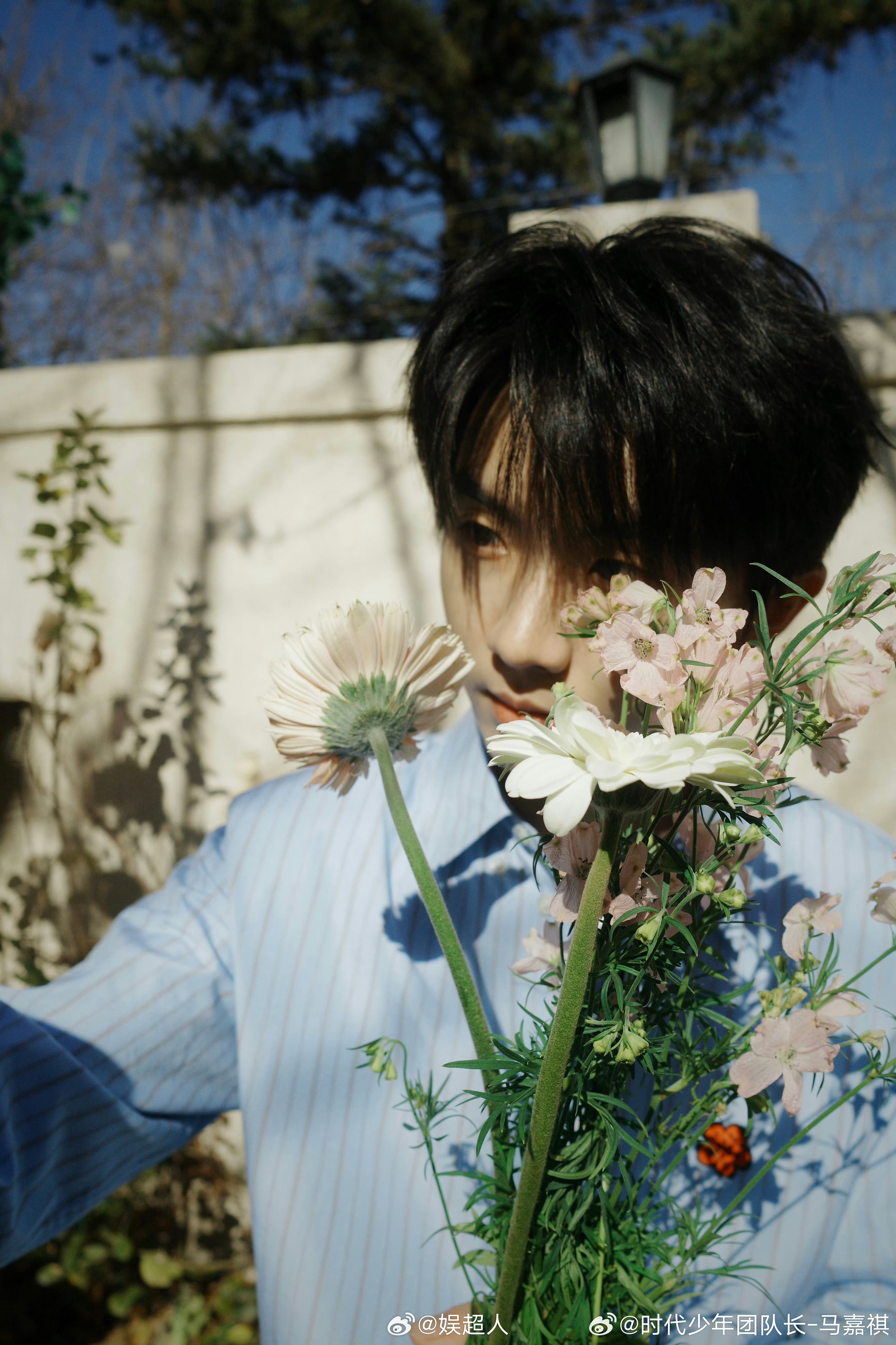 马嘉祺去踏青马嘉祺踏青六宫格 是春天的小马～ 