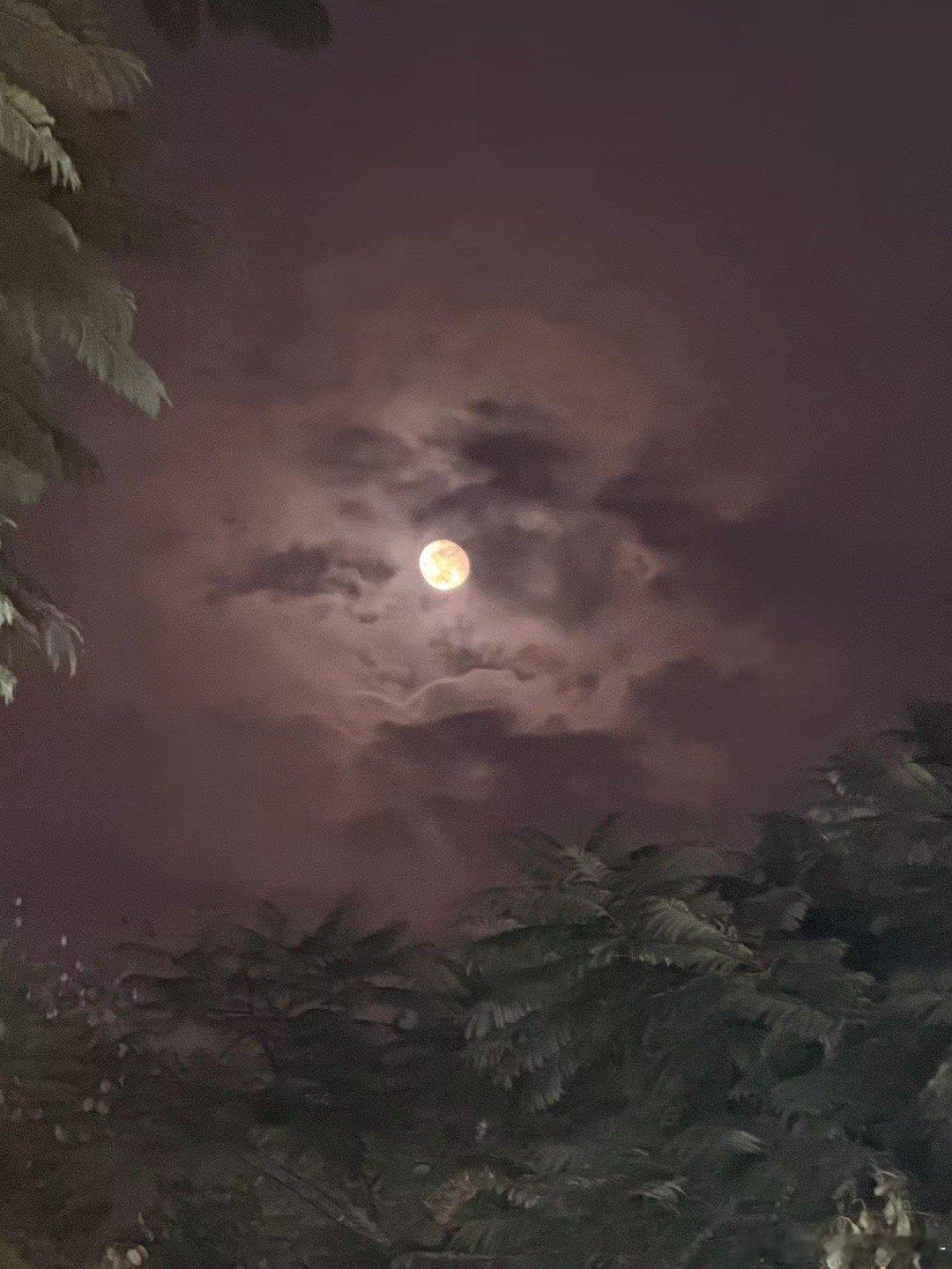 33解锁新地图福建人注意呀！广东人来啦和平精英职业联赛