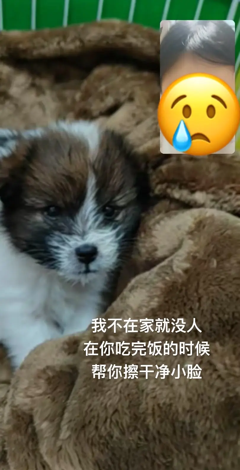 隔着屏幕的无力感。
