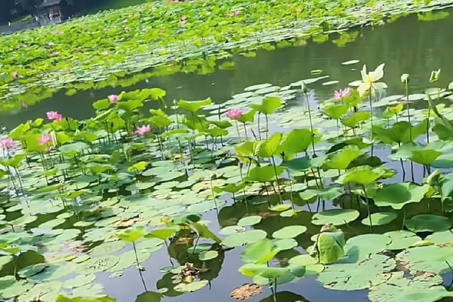 多年以后，你会发现以前你那种奋不顾身，爱一个人的勇气不再会有。

只是在那段时间