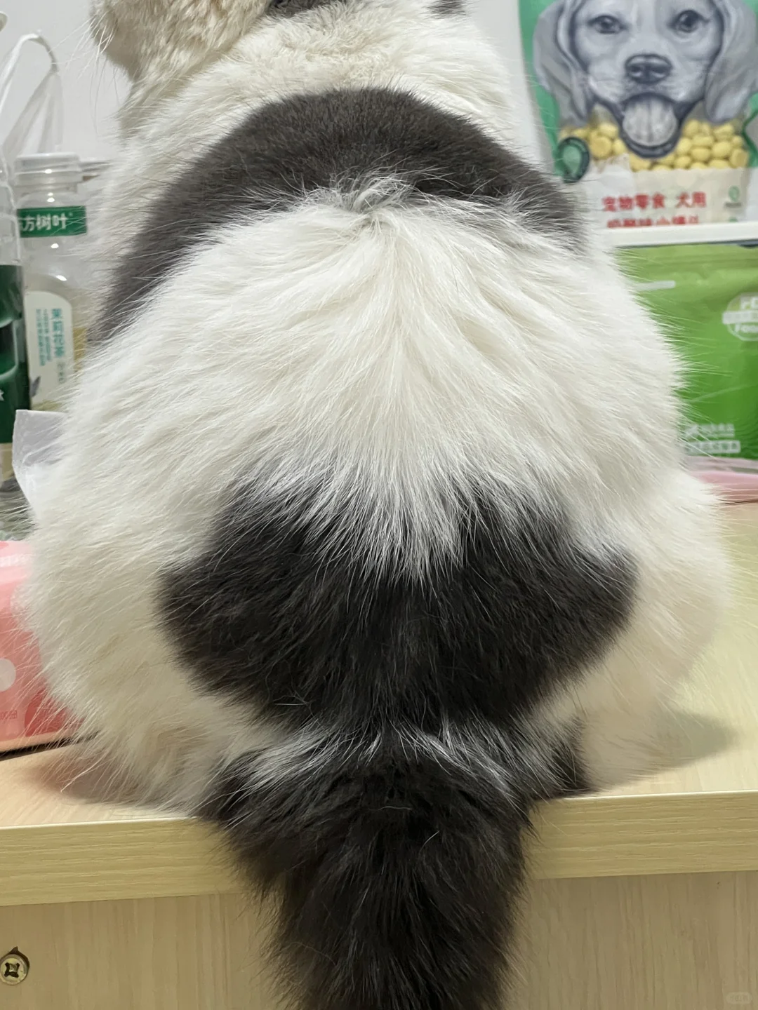 体检结果出来了