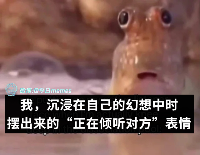 啊对（9gag）今日meme 今日memes