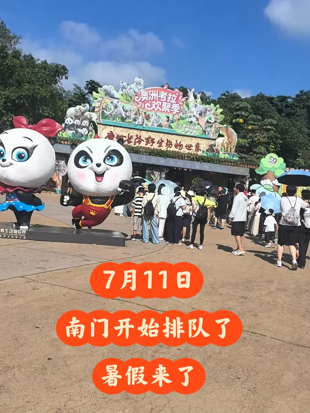 长隆野生动物世界7月11日