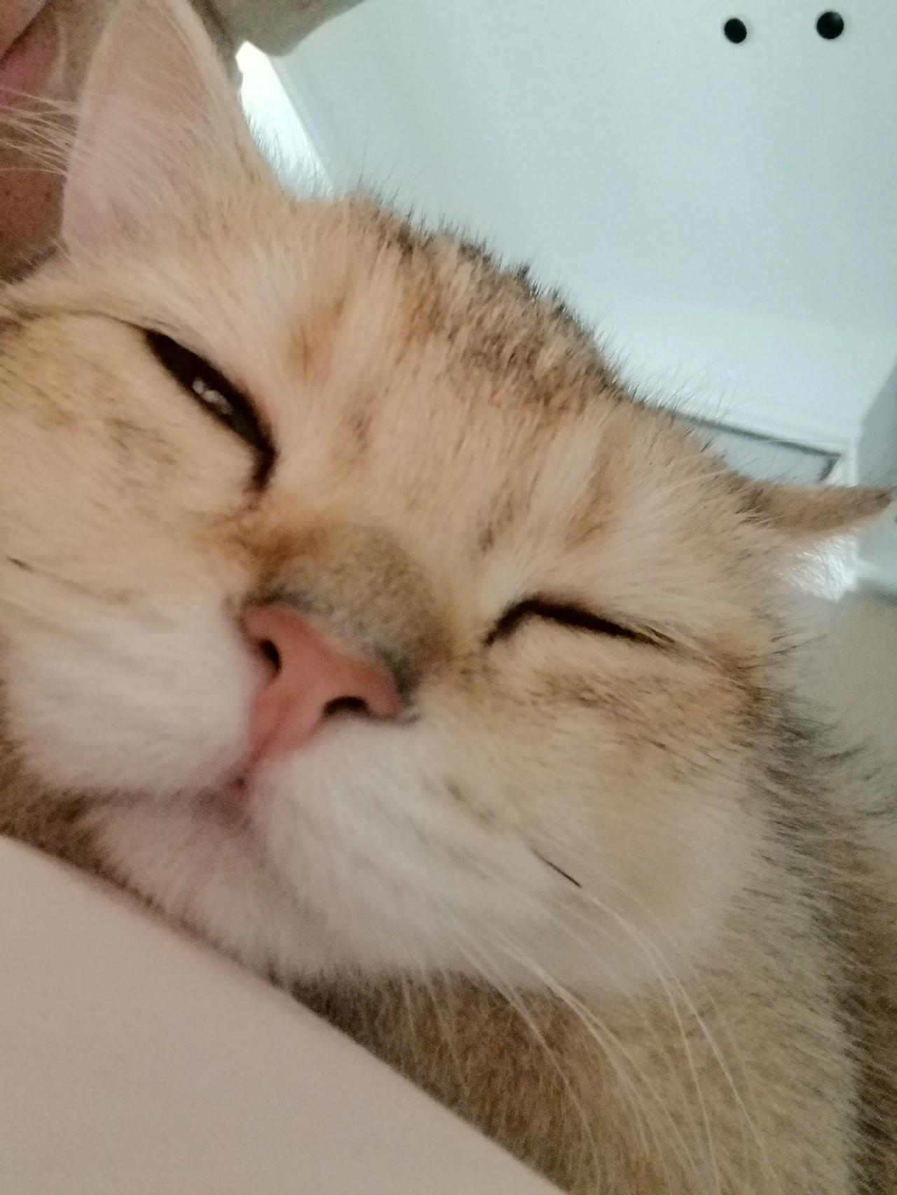 《射雕英雄传》您喜欢哪个版本?