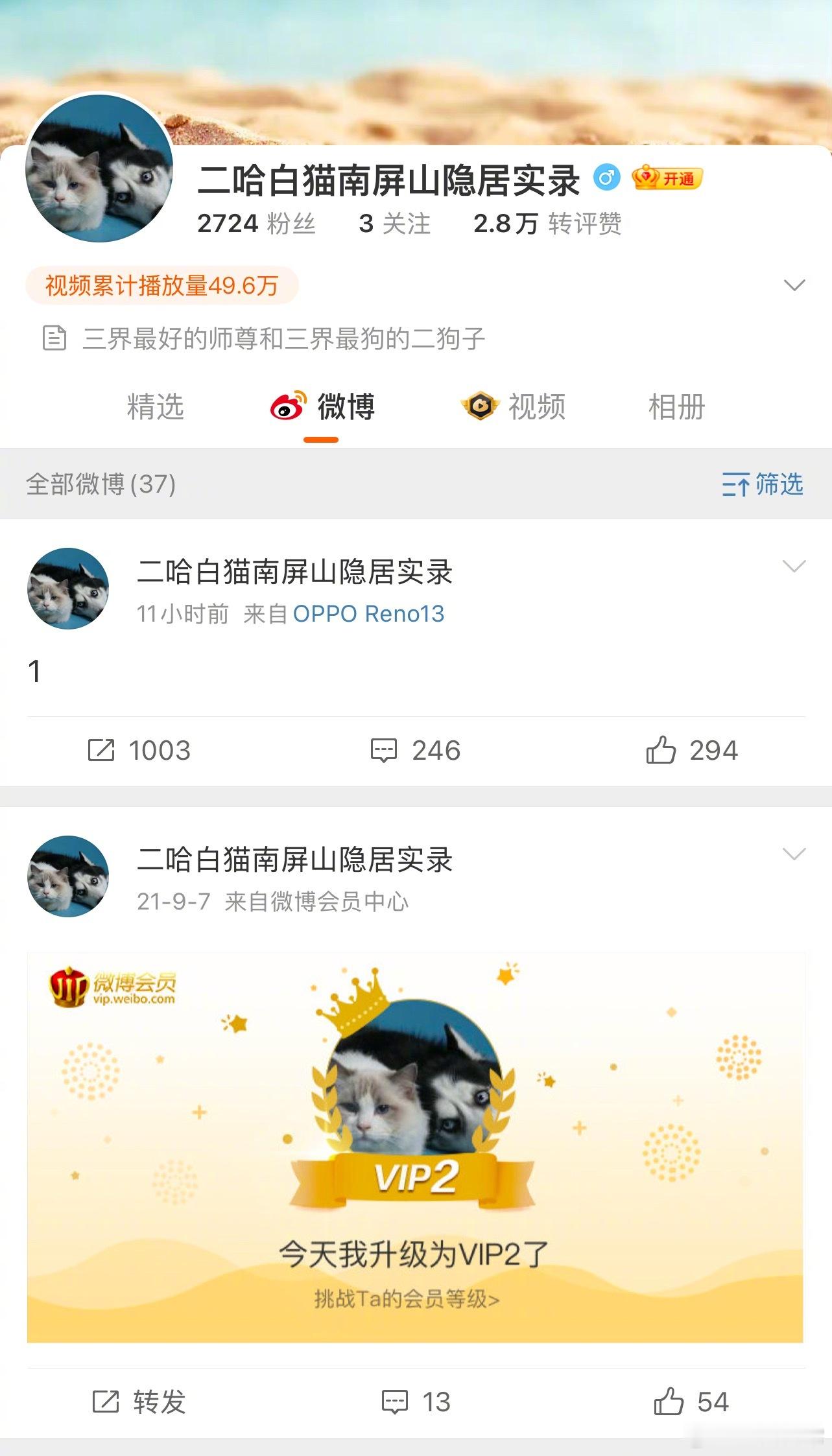 皓衣行怎么突然动了，有情况？皓衣行 ​​​