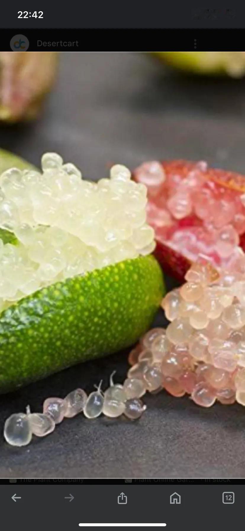 如果这事是真的，那就是真赚到了。这是手指青柠，英文是Finger lime。在澳