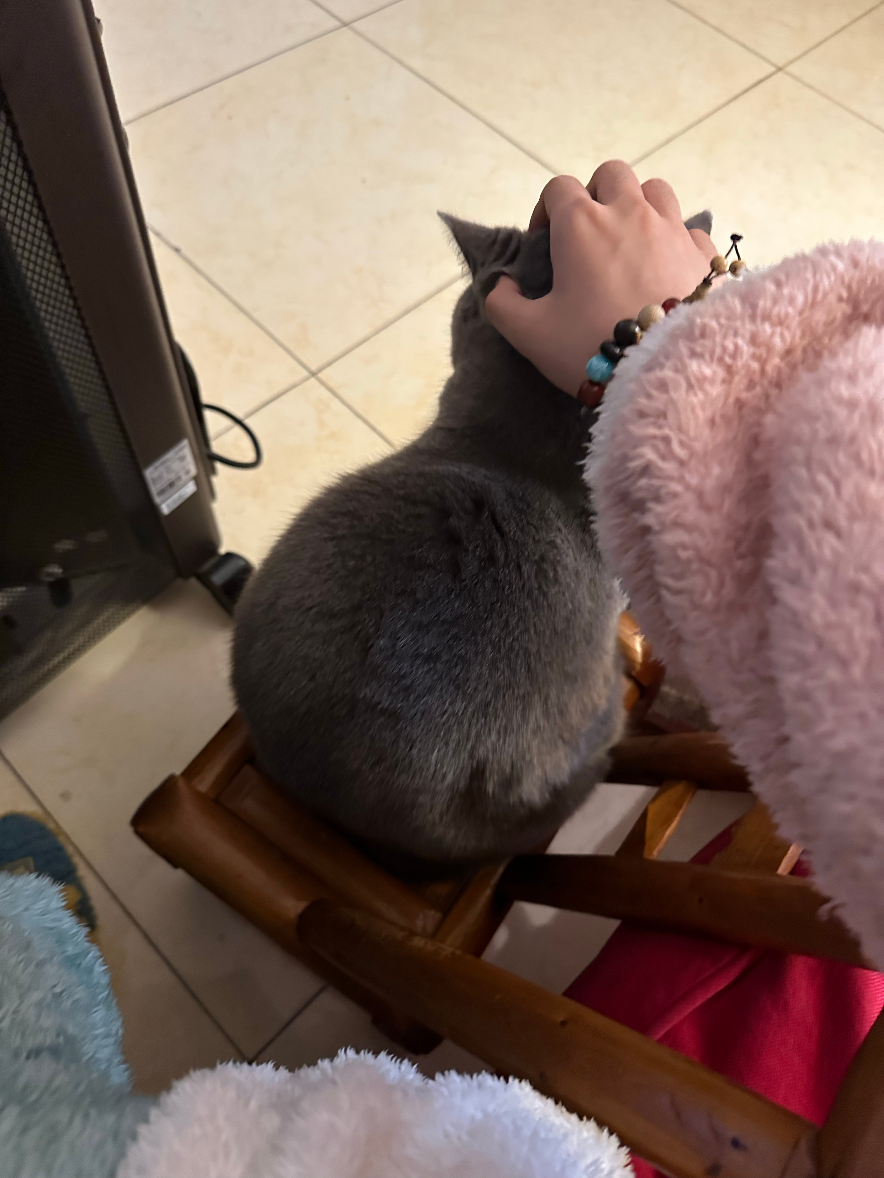 [打call][打call] ​​​