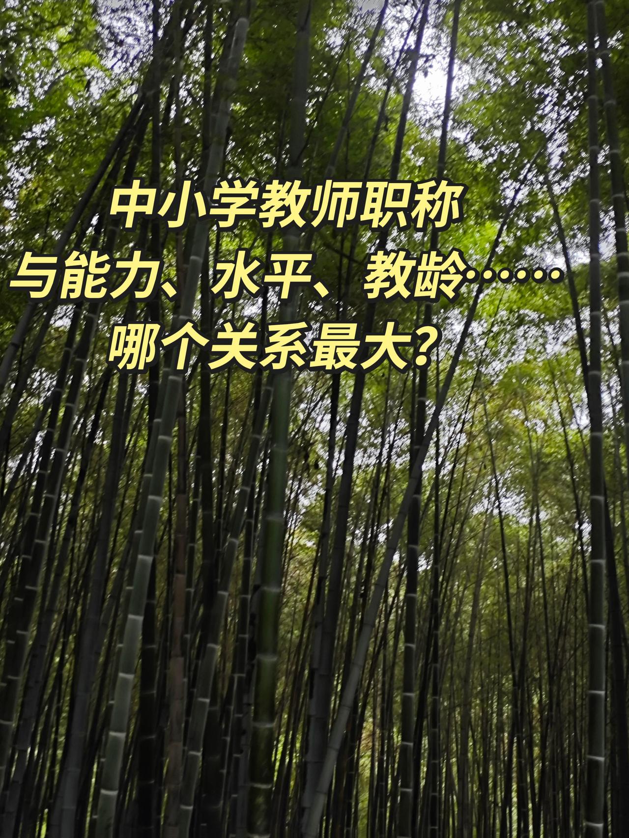 中小学教师职称，到底和什么关系最大？教龄、能力还是水平？
很多老师一辈子都在琢磨