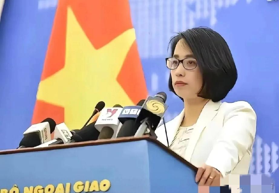 这下热闹了！太平岛一声炮响，越南第一个蹦出来叫阵——问题是，太平岛台湾驻守七十年