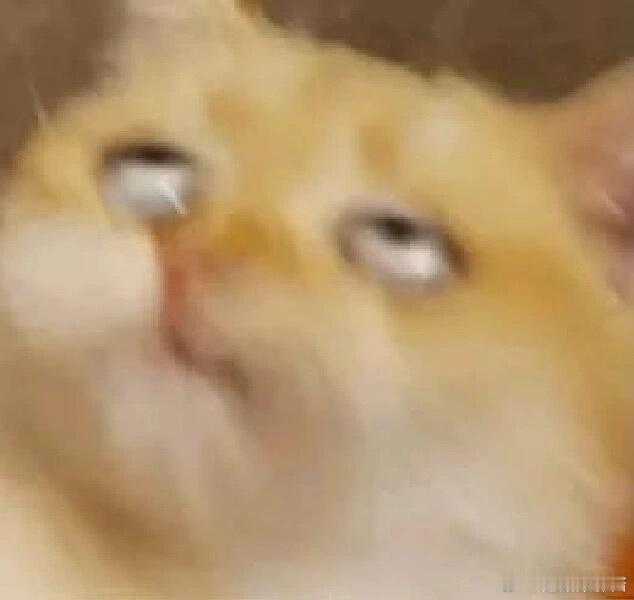 我感觉明星和咱们普通人都差不多，自己化的妆应该在高清镜头下会有点扛不住，这个也要