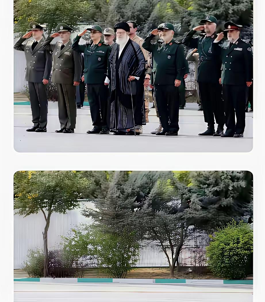 绿化做的不错。化作春泥更护花。