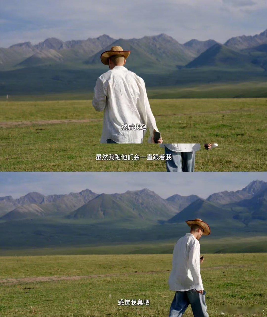 #米卡 我臭吗这么多虫子追我# 旅行中的米卡，竟然遭遇了“虫海战术”？面对虫子的