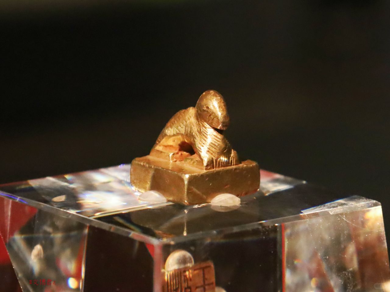 收到一枚骆驼钮金印