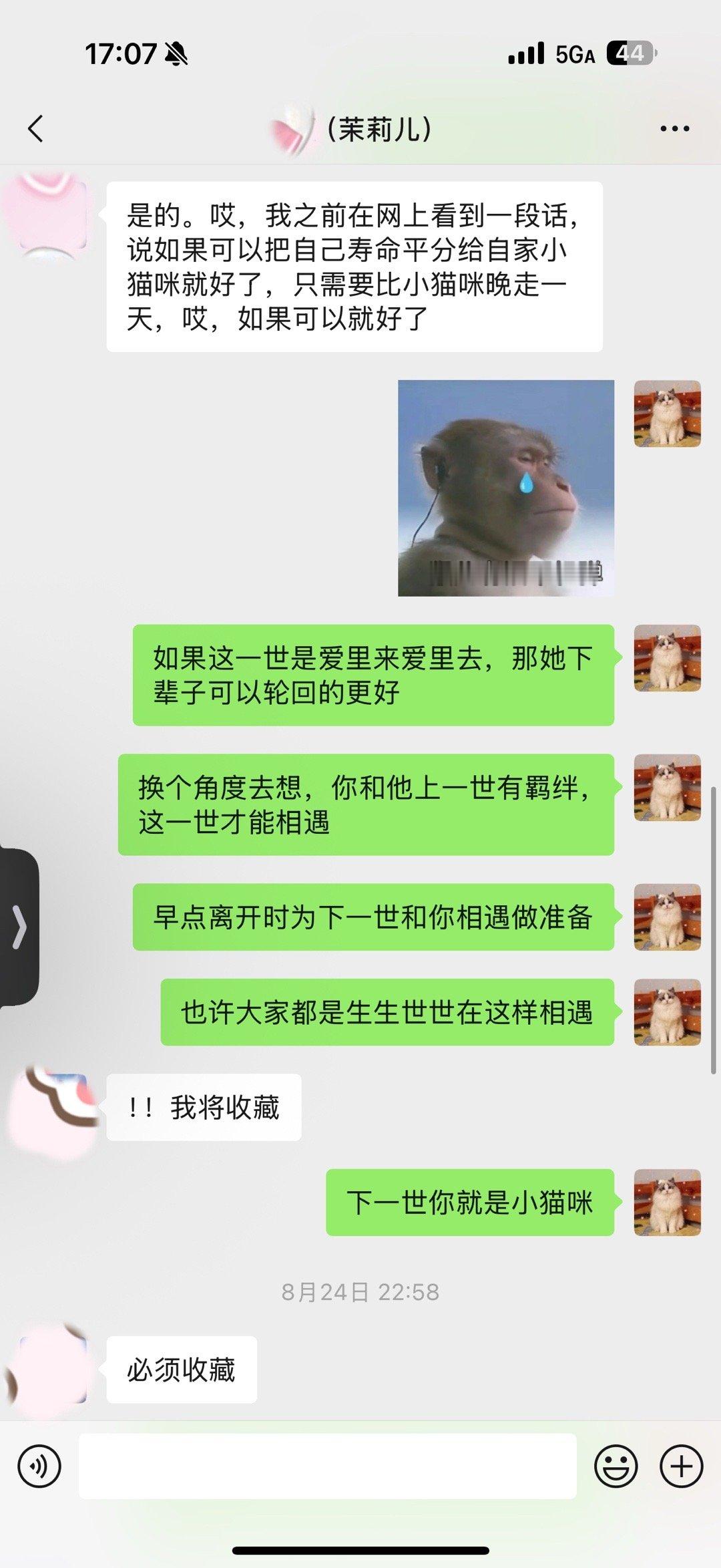 养宠人都需要面对的一个话题，和家长聊到这个，我表达了自己的理解，和大家分享 ​​