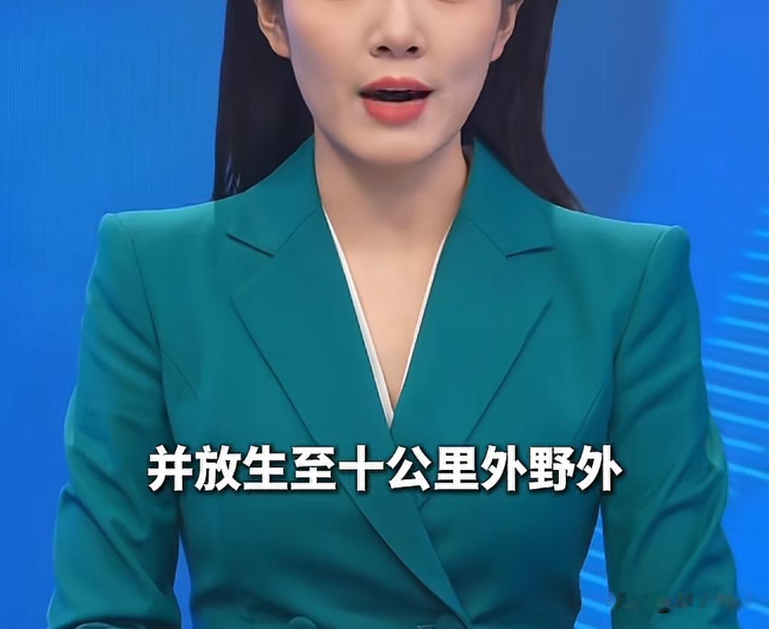 最近看到一个人吐槽：那蛇你们抓住了就往农村放，抓住了就往农村放，咋滴？那蛇不咬农