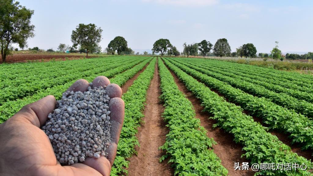 今年印度三哥吃饭可能有点儿困难！！在中国禁止尿素出口后，这不俄罗斯也禁止出口了