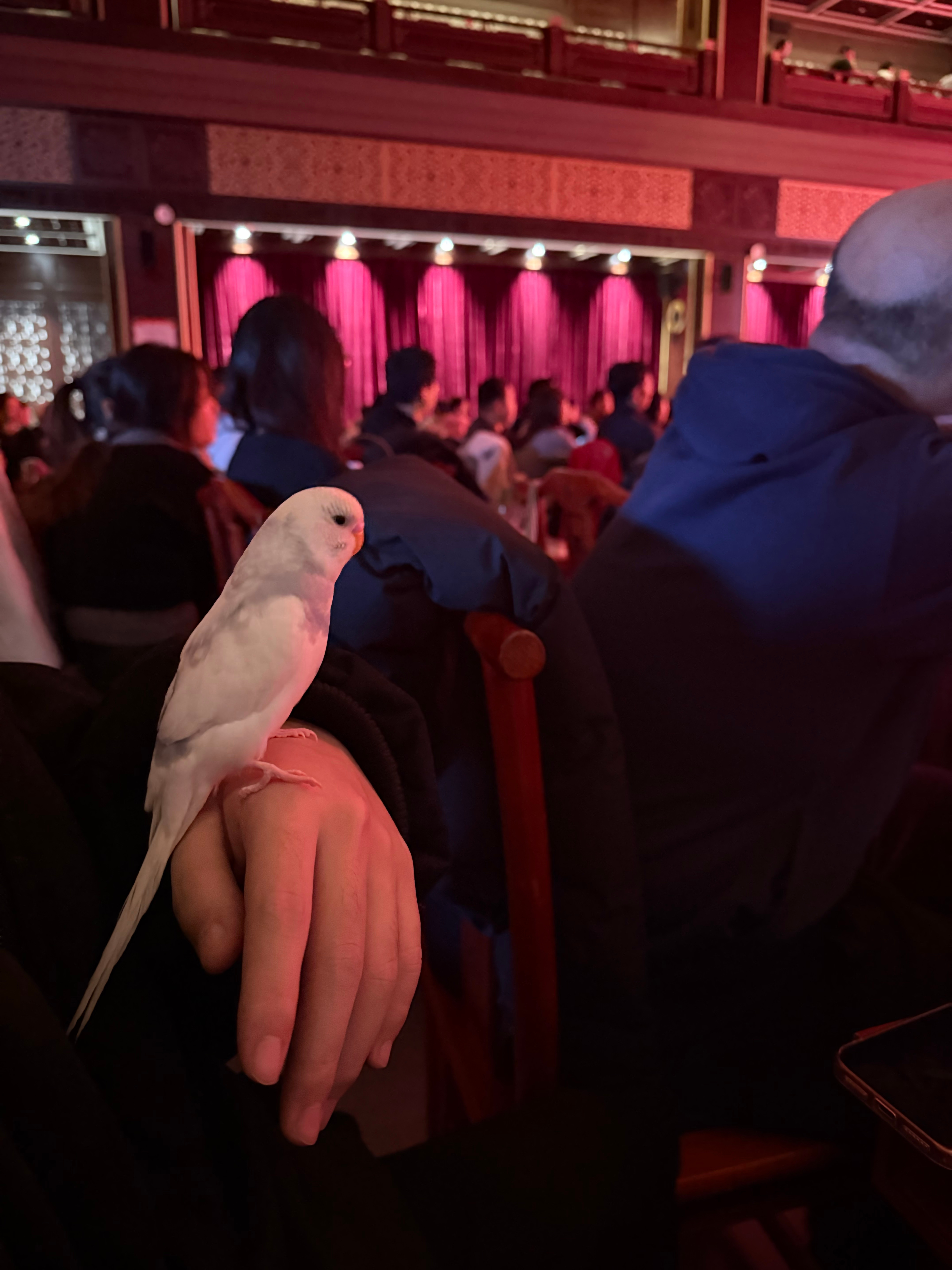 不管遇到什么烂人烂事 我都要这样萌萌的活着 